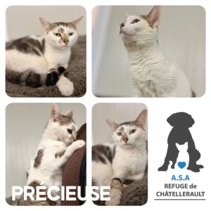 PRECIEUSE