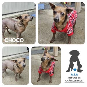 CHOCO