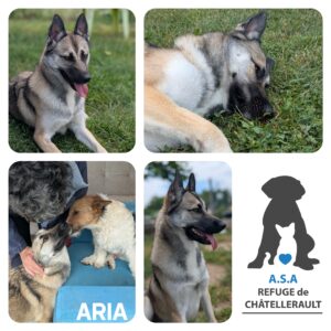 ARIA