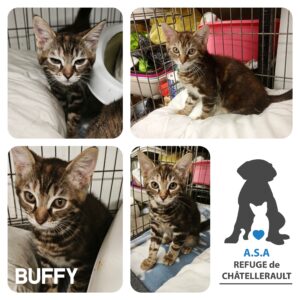 BUFFY