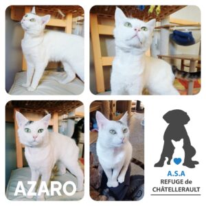 AZARO