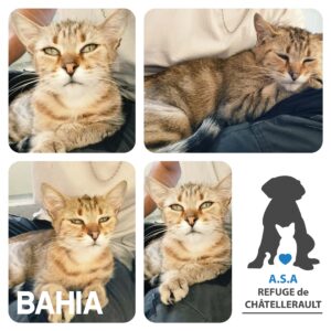 BAHIA