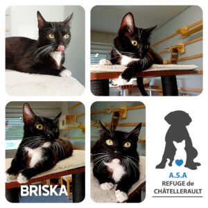 BRISKA