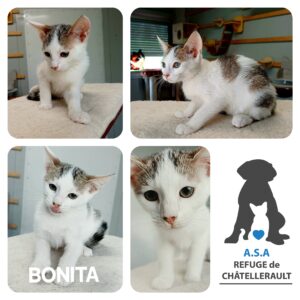 BONITA