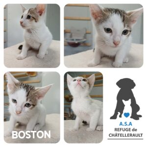 BOSTON