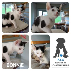 BONNIE