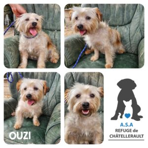 OUZI