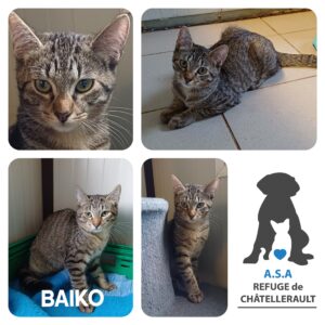 BAIKO