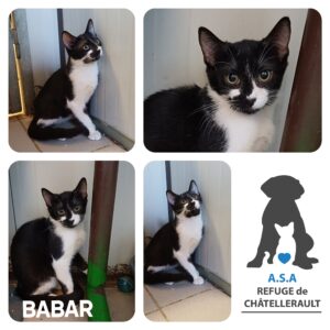 BABAR