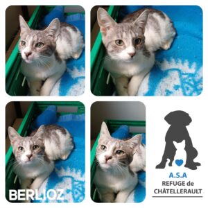 BERLIOZ