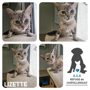 LIZETTE