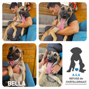 BELLA