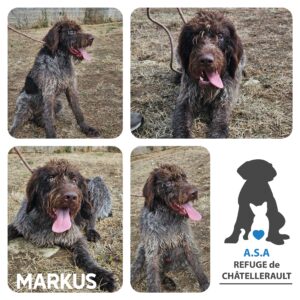MARKUS
