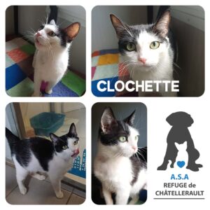 CLOCHETTE