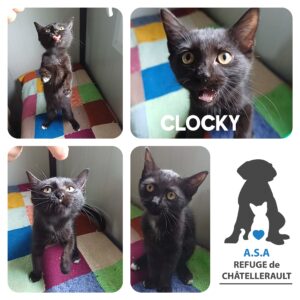 CLOCKY