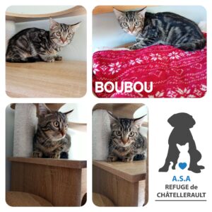 BOUBOU
