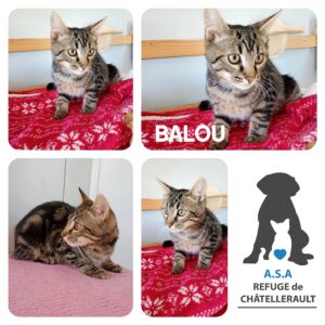 BALOU