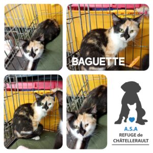 BAGUETTE