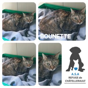 BOUNETTE