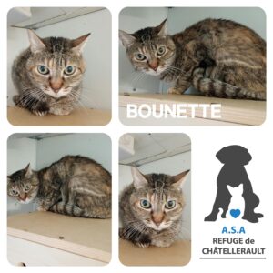 BOUNETTE