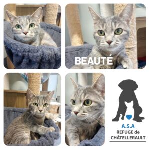 BEAUTÉ